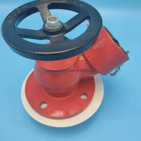 Hidrante contra incendios con bridas de 2,5 ′ ′ para edificios interiores a la venta